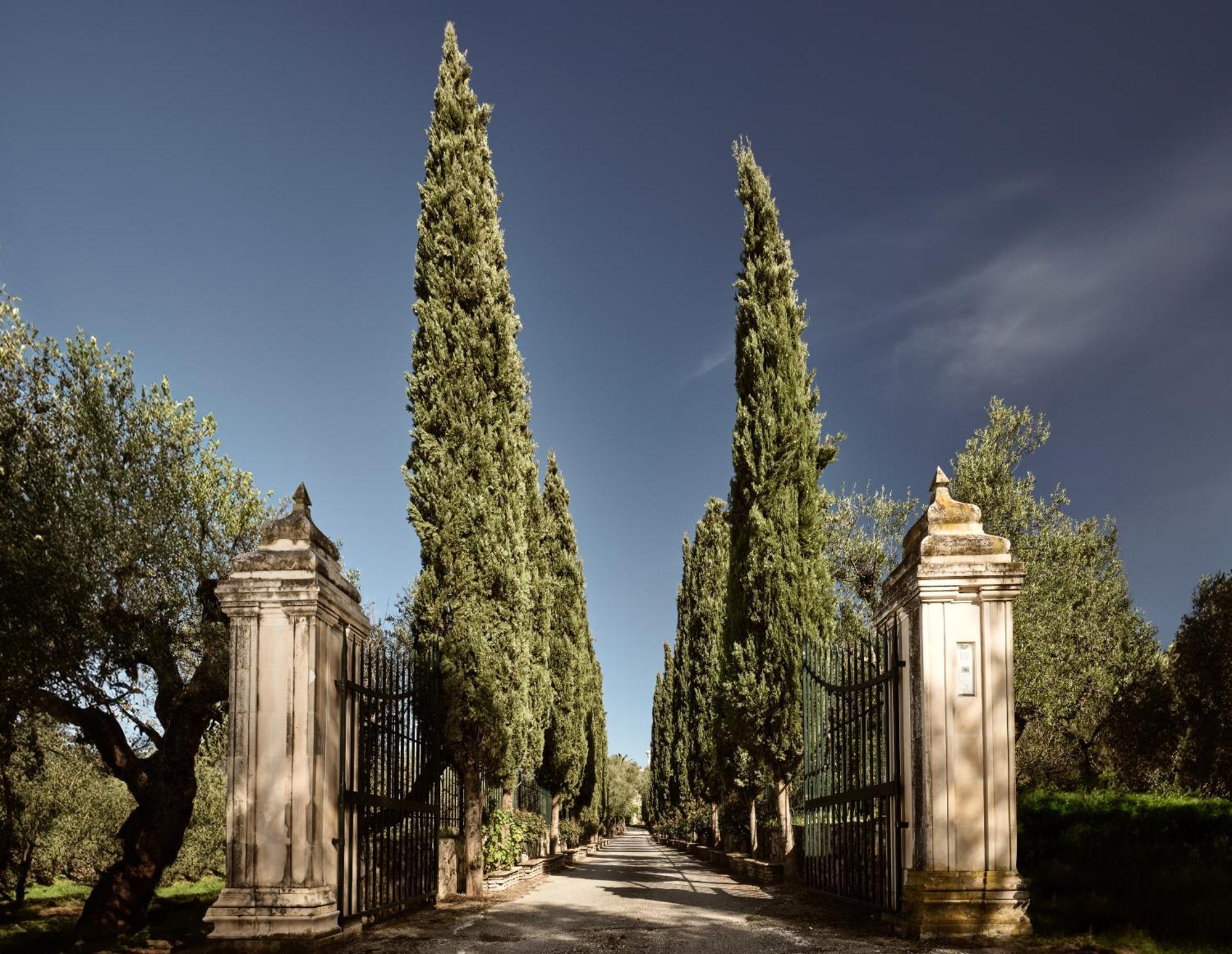 Almeira 4Acre Estate, For Unparalleled Seclusion, By Thinkvilla Закинтос Екстериор снимка