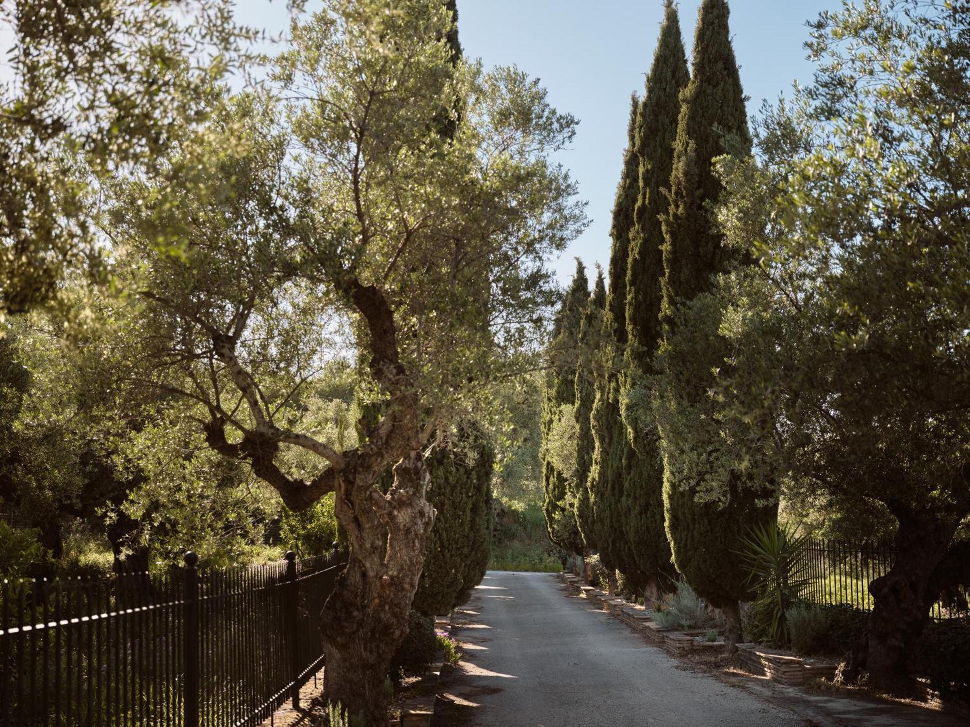 Almeira 4Acre Estate, For Unparalleled Seclusion, By Thinkvilla Закинтос Екстериор снимка